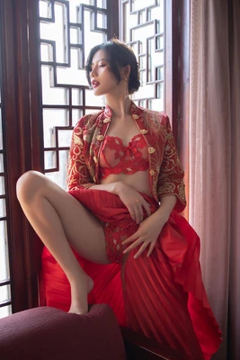 《亚极陀国语版：跨越语言壁垒的平成骑士传奇》