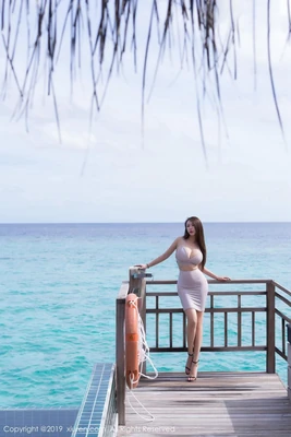 东京猫猫变身国语版：童年回忆的魔法与跨文化共鸣