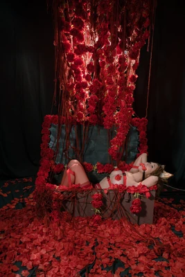 《美恐故事电影：从荧屏惊魂到银幕梦魇的华丽蜕变》