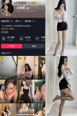 《樱花与泪水的交响：穿越时光的日本演歌魂》