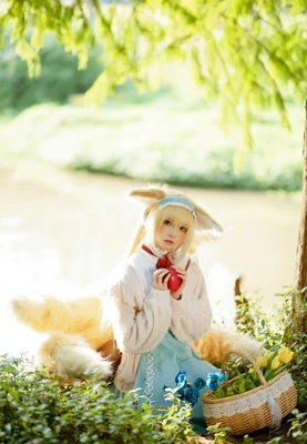 《小丑：从哥谭弃儿到混乱使者的蜕变史诗》