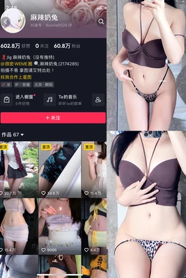 《狼群：银幕上的野性史诗与人性寓言》