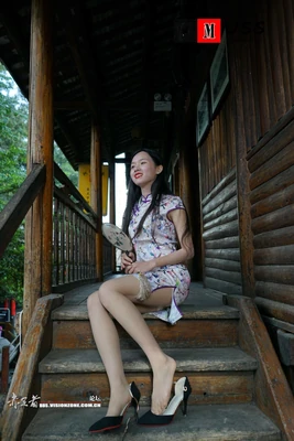 《猎人之魂再燃：新版国语配音如何重塑经典冒险史诗》