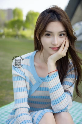 《丹顶鹤的挽歌：当银幕成为生态危机的最后栖息地》