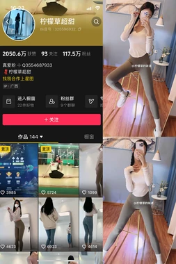 《总动员国语版下载：一场跨越语言障碍的动画盛宴》