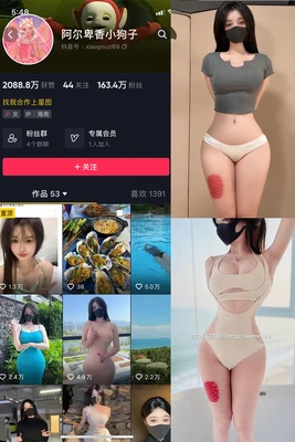 卫子夫经典演员：那些在荧幕上复活大汉传奇的艺术家们