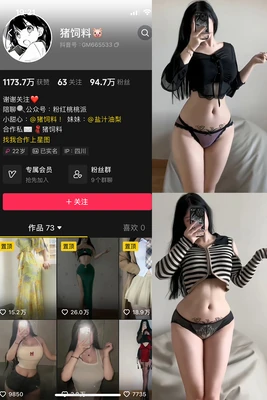 经典四级先锋：重塑英语学习格局的永恒灯塔