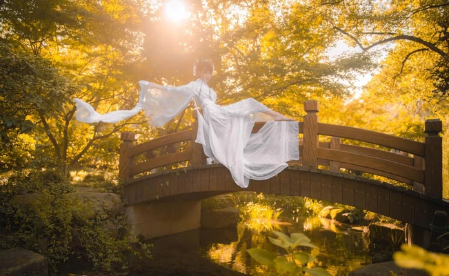 《丹顶鹤之舞：从神话传说到银幕史诗的生态寓言》