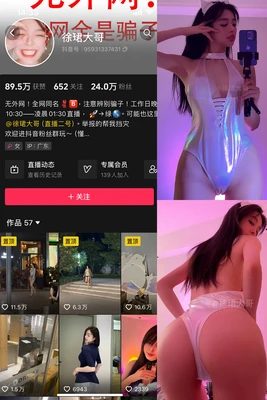 创圣的大天使国语版：跨越语言壁垒的机甲史诗