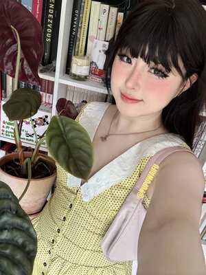 《免费故事电影：一场永不落幕的视觉盛宴》