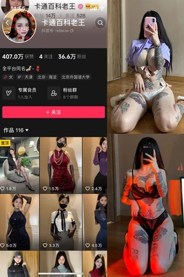 《温泉艺伎国语版：一场跨越语言与文化的感官盛宴》