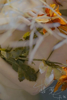 死亡标记国语版下载：一部被遗忘的港产Cult片如何成为数字时代的传奇