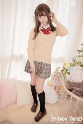 兽王争锋国语版全集：唤醒童年热血的奇幻冒险之旅