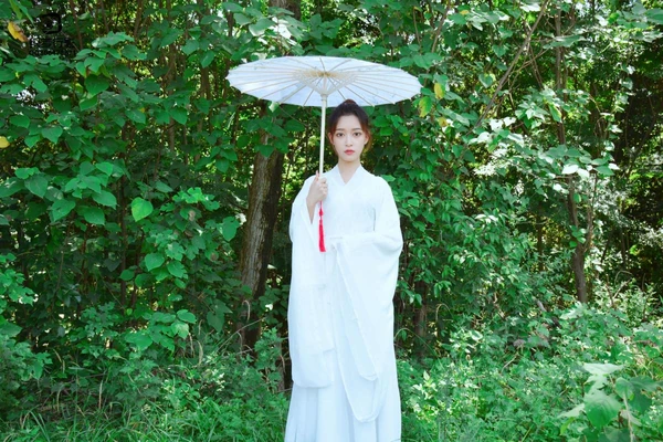 《狮子王2：辛巴的荣耀》国语版高清重温，一段关于爱与宽恕的史诗传承