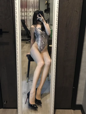 当狐狸成为经典：揭秘写真艺术中永恒的魅惑符号