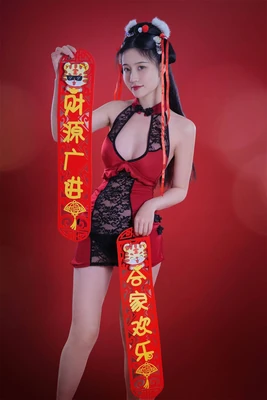 龙传人：一部被遗忘的功夫经典如何折射华人文化认同的变迁