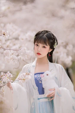 红毯之外：戛纳电影节如何从地中海岸的优雅派对蜕变为全球电影的权力中心