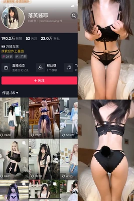 《猫三姐妹国语版：跨越语言障碍的治愈系动画传奇》