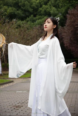 《浪漫满屋国语版：跨越二十年的心动回响与资源寻踪》