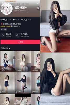 甄子丹国语版全集：一位功夫巨星的银幕传奇与时代回响