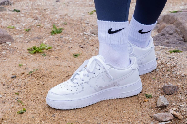 《金三角风云：警察故事背后的真实与虚构》