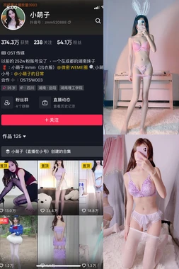 《机动战士高达国语版：跨越语言壁垒的宇宙史诗与时代共鸣》