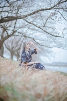 《光影交织的悲欢：以色列电影如何讲述一个民族的灵魂史诗》