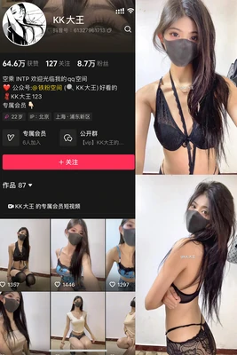 《国语版翼年代记：穿越次元的奇幻史诗与情感共鸣》