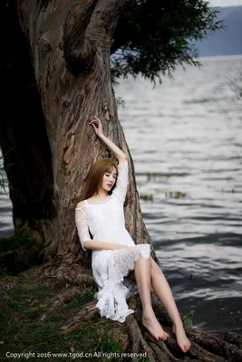 《享受人生国语版全集》：在平凡日常中寻找不平凡的幸福密码