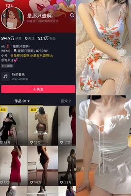 圣战士国语版：跨越语言与文化的机甲史诗