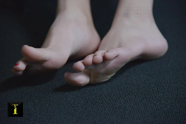 《贝儿公主国语版：从银幕经典到文化符号的华丽蜕变》