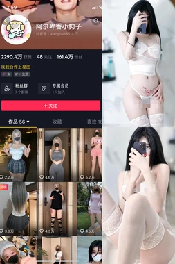 《电影种子：在光影沃土中生根发芽的叙事奇迹》